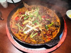 -老板恋上鱼(高新万达店)