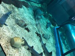 -福州罗源湾海洋世界旅游区