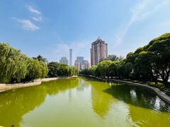 -团结湖公园