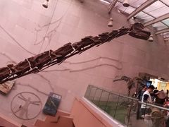 -陕西自然博物馆