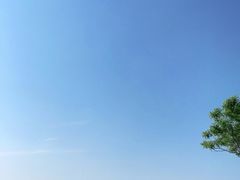 -蓬莱阁景区