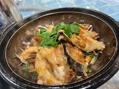 -石岐乳鸽村(南海第三分店)