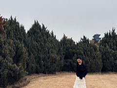 -咸阳湖景区