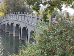 -四海公园(南山区)