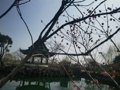 -无锡蠡湖国家湿地公园-蠡园