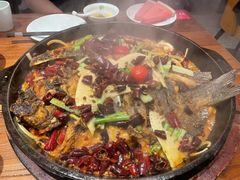 -老板恋上鱼(恒隆广场店)