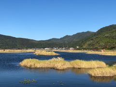 -腾冲北海湿地