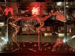 -北京三里屯CHAO酒店