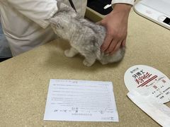 -艾贝尔宠物医院·狂犬免疫点(江山金象城店)
