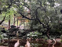 -广州兰圃