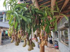 -顺德了能馆(虎门店)