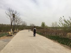 -永定河休闲森林公园