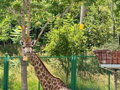 -水上乐园·欢乐世界