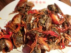 -季季红火锅(动壹店)