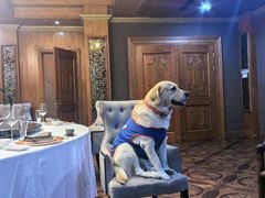 -Dark Horse·黑马蛋糕·低脂·低糖淡奶(金匙望湖大厦店)