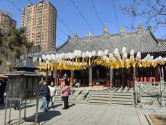 -护国法轮寺