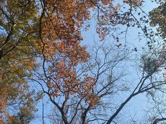 -广州市石门国家森林公园