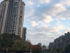 -新湖明珠城