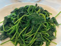 清炒红薯尖-眉州东坡(博雅店)
