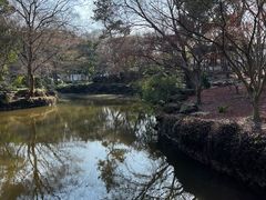 -秋霞圃