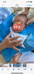 -慧婴轩婴儿理胎发胎毛笔胎毛画手足印(通州店)