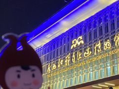 -广西壮族自治区博物馆