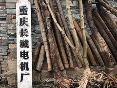 -驿舍·民國老营房院子私房菜(科学会堂店)