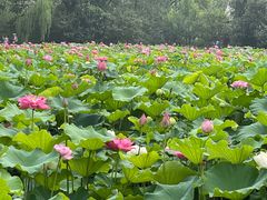 -黄兴公园