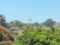 -点都德(广州白云山景区南门店)