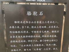 -阳台山自然风景区