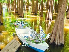 -星湖旅游景区七星岩