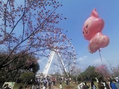 -顾村公园