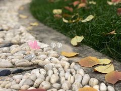 -锡师附小学(学前街校区)