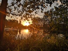 -溱湖国家湿地公园