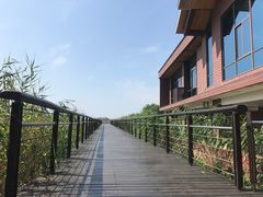 -苏州太湖湖滨国家湿地公园