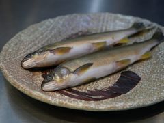 -崂山水果园农家宴(泉水鸡店)