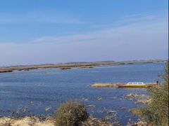 -白渔泡湿地公园