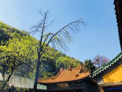 -千佛山风景名胜区