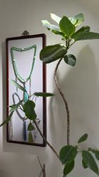 -沐迪珠宝&法佑艺术疗愈空间