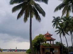 -东郊椰林