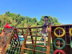 -TIPPI营地 房车主题·露营烧烤团建轰趴(天安假日店)