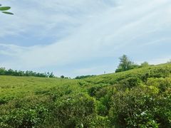 -南京市江宁方山