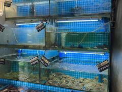 -老东镇啤酒屋海鲜加工·蒸汽海鲜·海鲜烧烤(台东店)