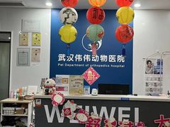 -伟伟宠物医院·CT影像中心·瑞派犬猫综合性门诊(汉口总院)