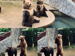 -贵州森林野生动物园