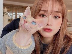 -猫腻·猫咖·撸猫馆(星光大道店)