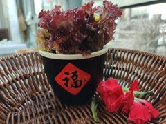 -慢丽江·云南野生菌土鸡锅(西山店)