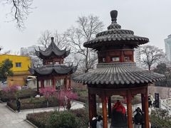 -宝通禅寺
