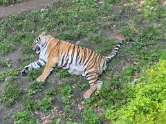 -吉野家(红博中央公园店)