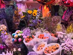 -花鸟鱼虫鲜花绿植市场(玉泉路店)